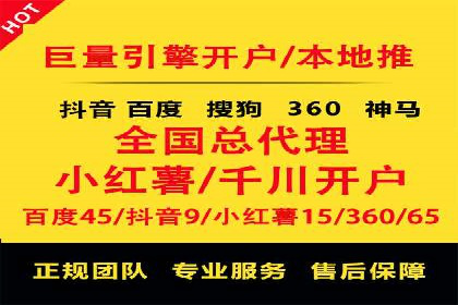 百度竞价代运营成功案例解析